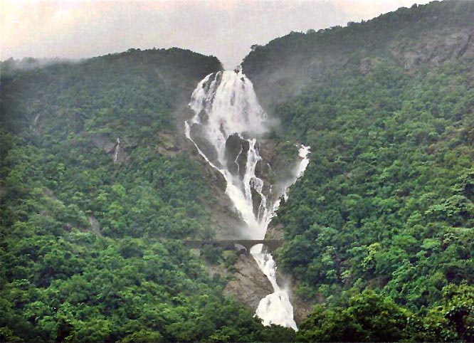 Download this Trainspotting Dudhsagar picture
